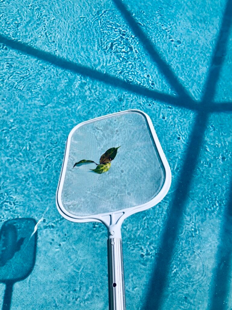 cleaning-leaves-out-of-the-swimming-pool-2024-12-03-09-17-18-utc
